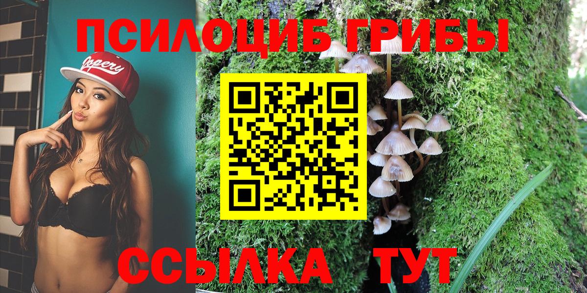 Псилоцибиновые грибы MAGIC MUSHROOMS Дмитров