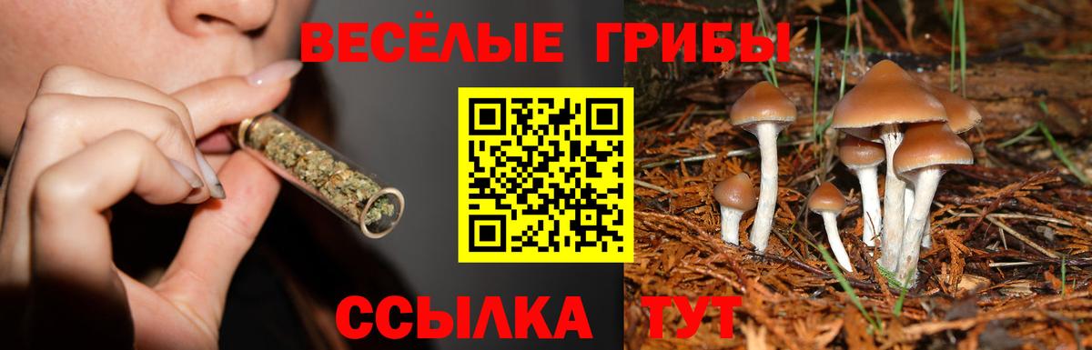 Дмитров  Псилоцибиновые грибы мицелий  Вход с VPN 